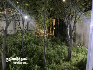  27 فيلا فخمه للايجار اليومي