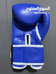  1 Everlast boxing gloves