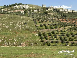  1 ارض 675 م غرب عمان/مرج الحمام/المشبك.عشارع اسفلت سكن ب 6 د عن دوار شوابكة والمريشد.منطقة خدمات وفلل