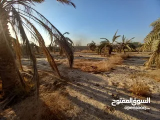  9 ارض للبيع من المالك مباشرة