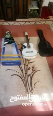  2 Eko Music Guitar  new with the cartoon