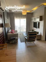  2 Furnished Apartment For Rent In Shmeisani