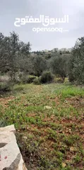  2 Land for Sale – Marda, Salfit (13.8 Donums)  أرض للبيع – مردة، سلفيت (13.8 دونم)