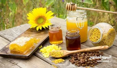  17 عسل طبيعي بلدي ومستورد وجميع منتجات النحل الاخرى