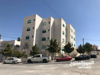  1 شقة كبيرة للايجار في شفا بدران من المالك مباشرة
