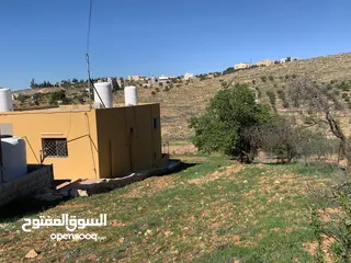  4 منزل ومزرعة للبيع في منطقة المريجمة-مادبا