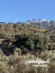  1 ارض تصنيف Aقرب روابي
