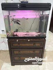  1 Aquarium full set