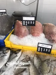  21 ‏للبيع سمك