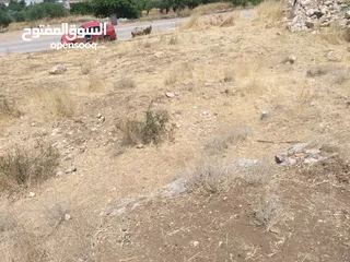  10 ارض للبيع في عجلون (صخرة)