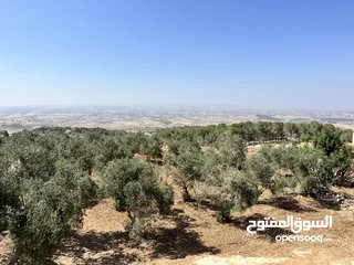  3 قطعة ارض للبيع مميزه ومطلة المساحة 4,609