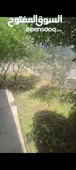  7 بيت مستقل للبيع