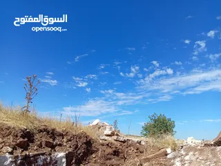  9 مزرعه للبيع في جرش سوف منطقه الظهره الشماليه
