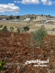  1 4 دونم قرب شارع جرش المفرق الرئيسي