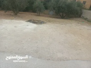  3 قطعت ارض 220