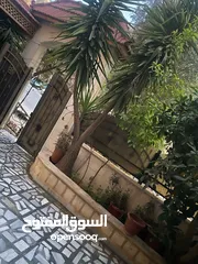  13 جبل طارق شارع أحمد العريفي مقابل ميني ماركت الهدى