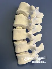  9 مجسمات 3D  و احرف على اختيارك