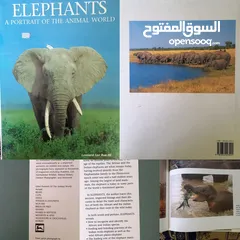  2 لبنان 1900 - 1930 و كتاب عن الفيلة