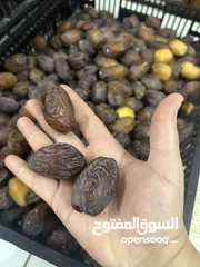  1 تمور للبيع من أراضي مزارع أريحا