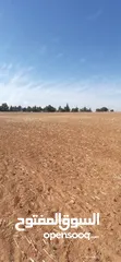  12 مادبا بجانب الجامعة الامريكيةمباشرة قطعة زراعيةمميزة بسعر 18 الف الدونم وبمساحة 3750متر واصل الخدمات