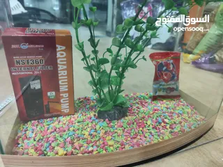  1 حوض سمك مجهز بالكامل الطول 40 سم العمق 20 سم ارتفاع 31 سم