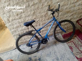  1 بسكليت بالصلاة على النبي