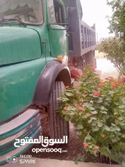  3 قلاب فطس للبيع
