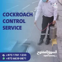  1 IPC Is Providing 24/7 Pest Control Service in Bahrain - Contact Now!
