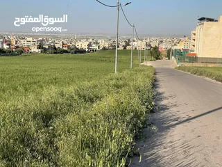  1 ارض 750م الحصن جنوب الراهبات حوض دبات ابوالنصر منطقة العالية مقابل الهابي لاند وقرب مدارس الاسلامية