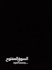  1 اذا يوجد خيل للبيع بسعر 230 أو تحت