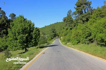  4 جرش  ثغرة عصفور  الغربيه