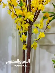  16 أشجار لوزيات أغصان طبيعي