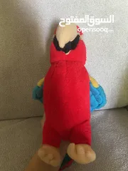  1 ببغاء بجنن لااطفال فاخر جداً