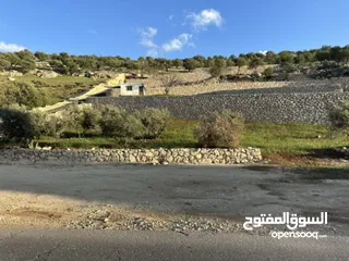  2 ارض مميزة واستثمارية بيرين صروت 3 دنم ونصف للبيع