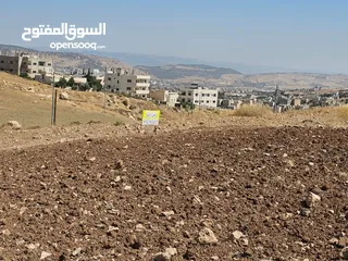  8 ارض في صافوط بالقرب من مدارس بناة الغد لها اطلالة وعلى شارعين بسعر مميز
