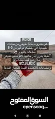 3 مشروب الطاقة انديجو