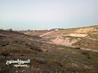  6 قطعة أرض زراعية للبيع من أراضي بلدة سما الروسان