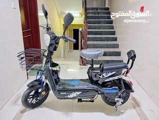  2 Electric Bicycle
