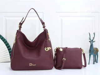  2 حقائب Dior