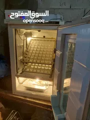  1 فقاسات فل تماتيك