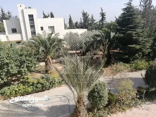  12 Luxury Villa For Rent In Abdoun