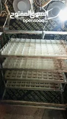  9 فقاسه فل اتوماتيك للبيع
