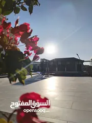  4 مزروعة مميزة محاذية للحرش مرتفعة وكاشفة