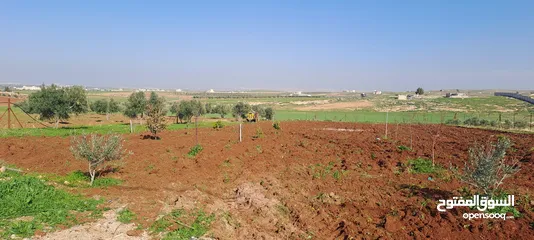  2 أرض زراعية 3500 مقابل جامعة اربد الأهلية