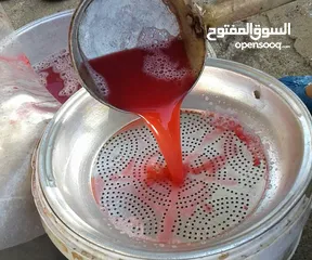  13 شروة دبس رمان بلدي للبيع