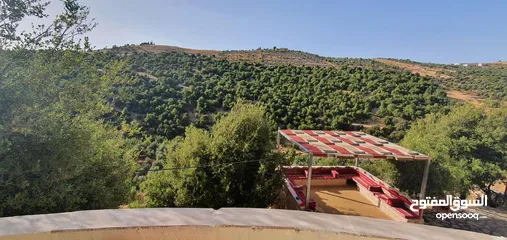  28 شاليه بسعر مغري لاستثمار  مطل ومرتفع  اطلاله وروعه من الجمال ومناظر خرافيه اقرا ا التفاصيل جيدا