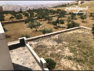  7 مزرعه للبيع في السلط مساحة الأرض 4218م مساحة البناء 450م