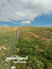  13 ارض مع بيت طابقين للبيع