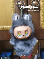  1 لابوب لجندري سيكريت للبيع، حجم قد كف ايد