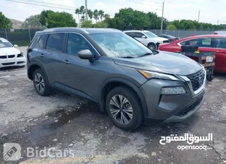  19 نيسان روج 2022 SV